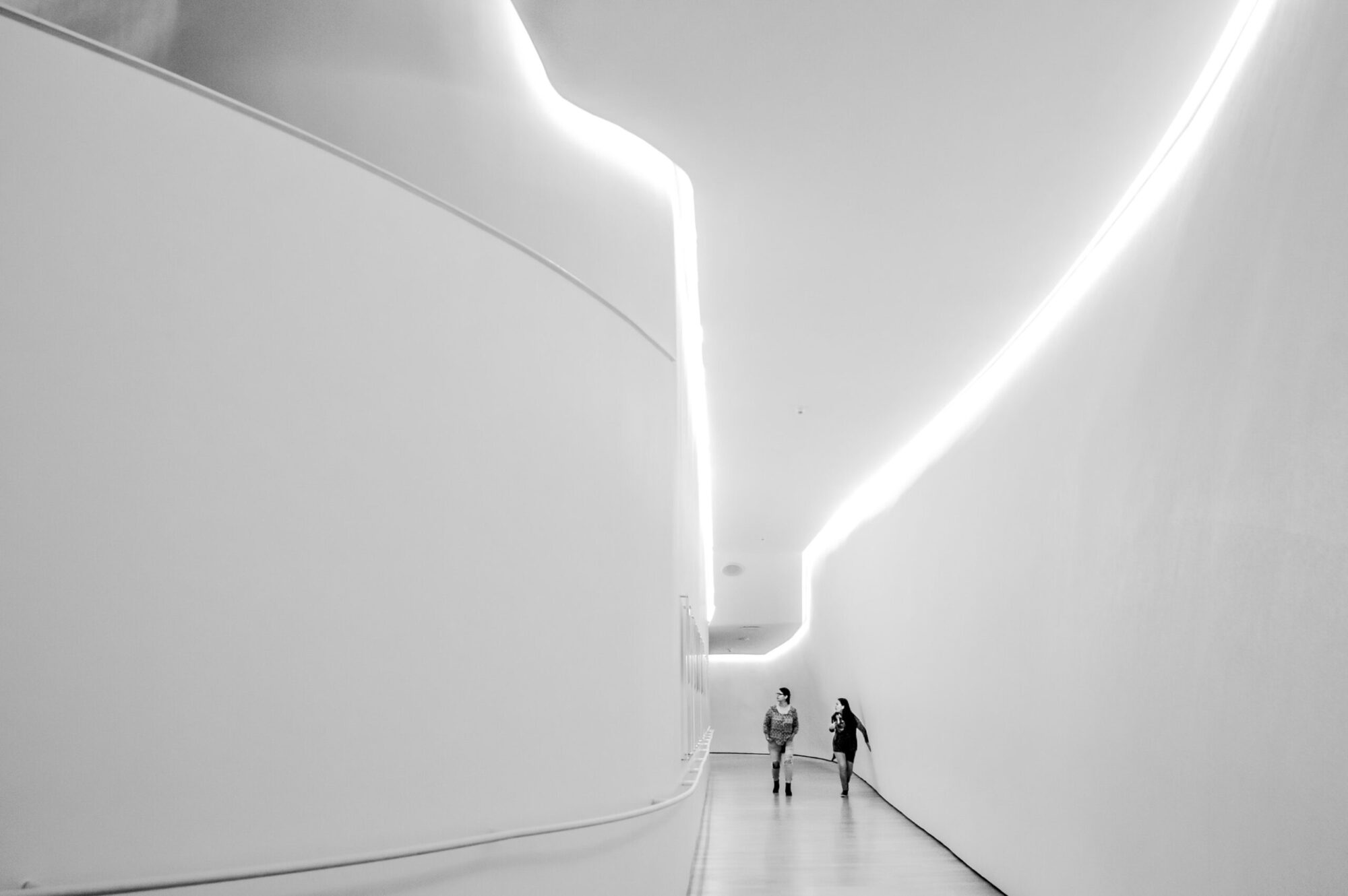 pexels-arantxa-treva-959323